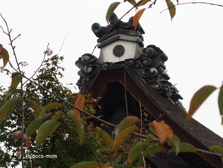 三十三間堂本坊妙法院 PB010181