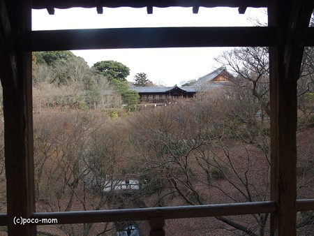 東福寺 P1110127