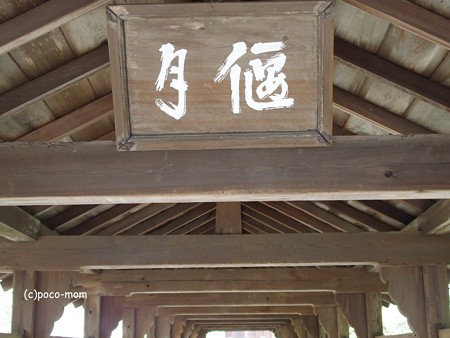 東福寺 P1110149