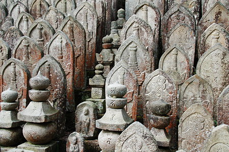 奈良菩提山 正暦寺