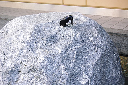 2011年01月10日_DSC_0230