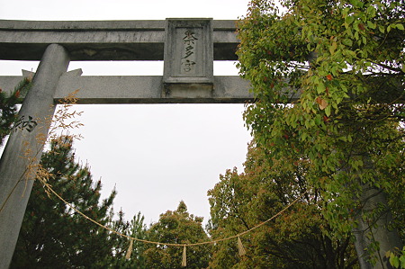 2011年05月03日_DSC_0411