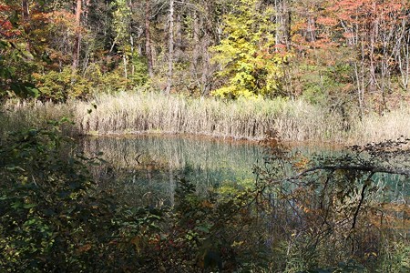 IMG_6474
