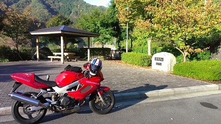 20141025VTR1000F (1)