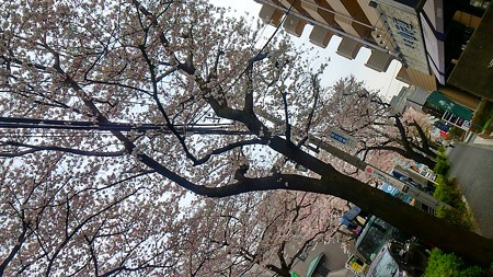 20160331 (1)