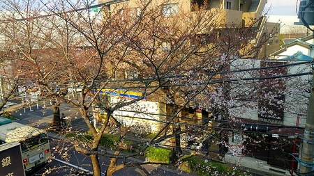 20160324