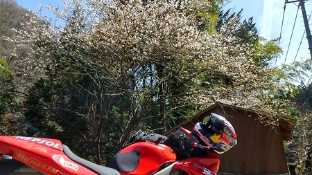 20160409 (7)