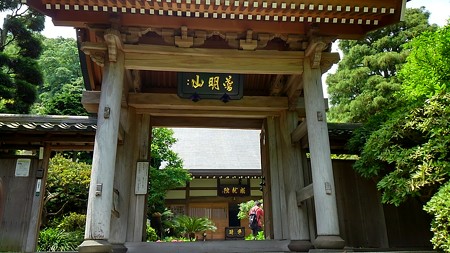 20160514湘南、鎌倉 (15)