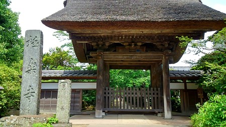 20160514湘南、鎌倉 (14)
