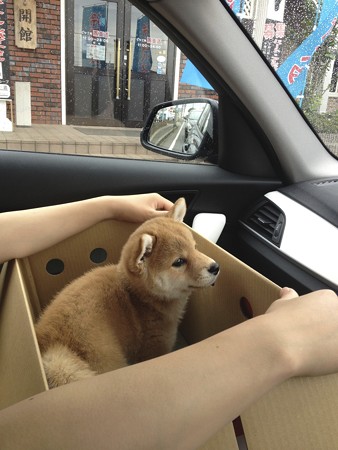 はるちゃん