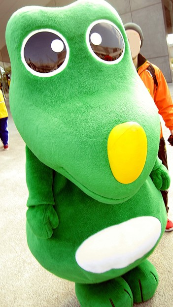 いとゴン 糸島市 写真共有サイト フォト蔵