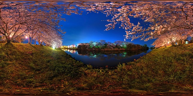 牧之原市 勝間田川の夜桜 360度パノラマ写真 HDR