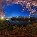 Photos: 牧之原市 勝間田川の夜桜 360度パノラマ写真 HDR