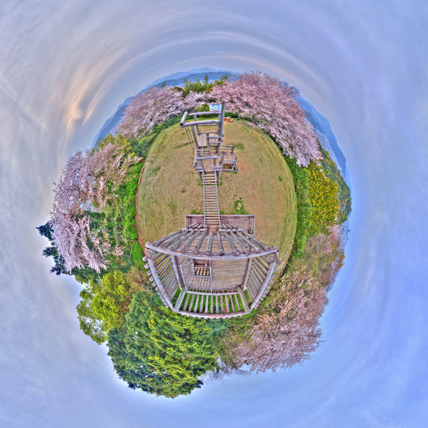 Photos: 2016年4月9日　谷津山　桜　Little Planet(3) HDR Panorama