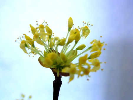 2011.3.6