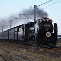 Photos: SL銚子　D51498+旧型客車+DE10 1752　（20）