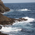 IMG_0177
