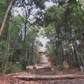 八幡神社への石段