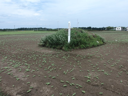 P7130493