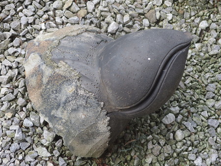 P7130504
