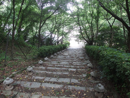 P7130517