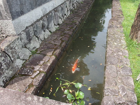 P7130527