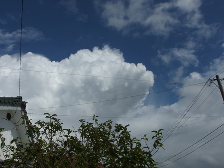 P8070905