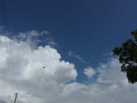 P8070908
