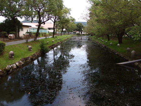 P8231349