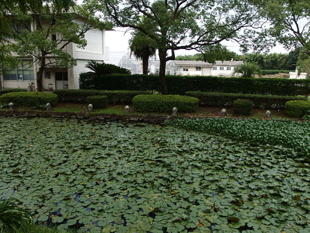 P8231355