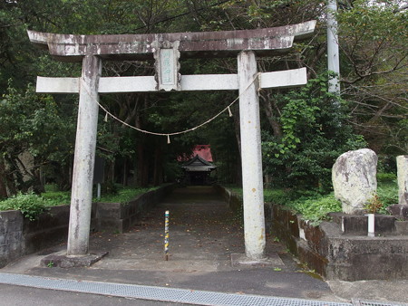 P8241373