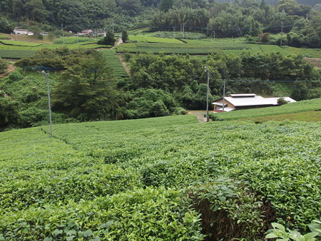 P9051512