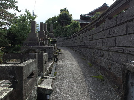 P9071599