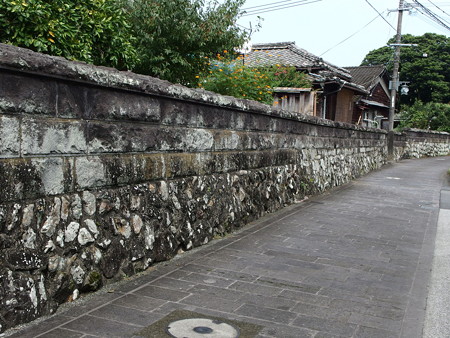 P9071647