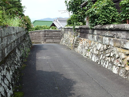 P9071650