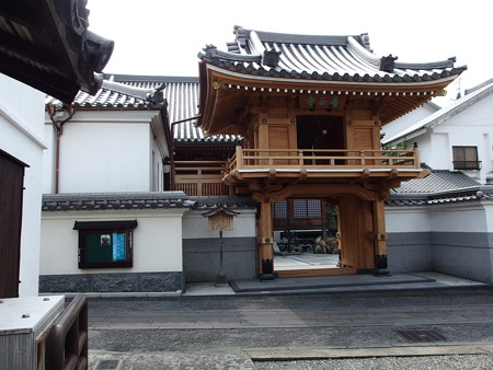P9071669