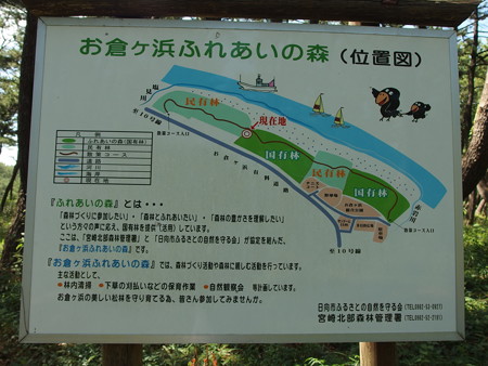 P9091755