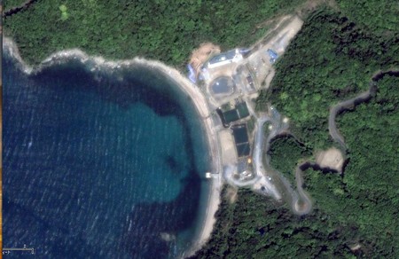 genpatu-1