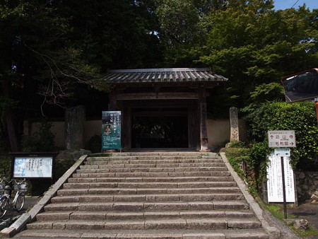 P1013785