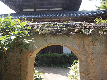P1013846