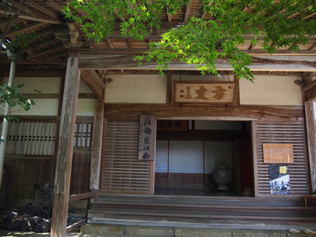 P1013847