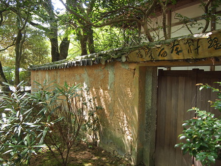 P1013849