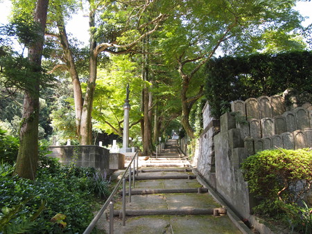 P1013852