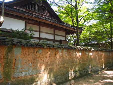 P1013853