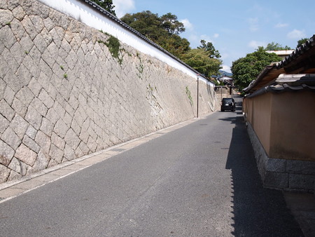 P1013825
