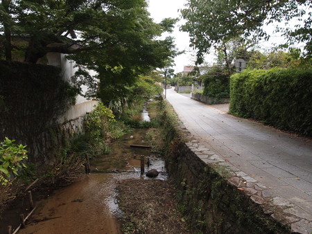 P1013882