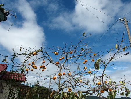 PA130004