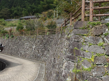 PA260442