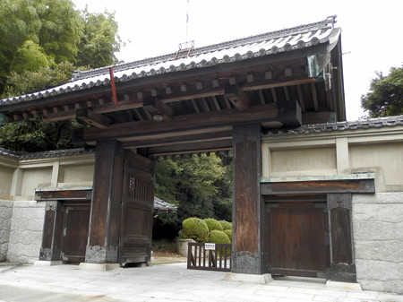 P9234355e