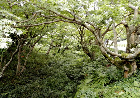 P9234364e